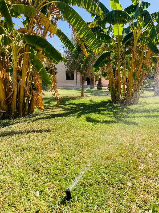 Villa Msholidays Victoria Privatisee Marrakech 马拉喀什 外观 照片
